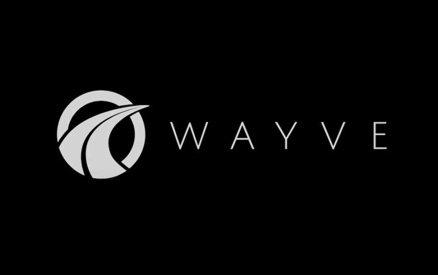 wayve yatirim aldi