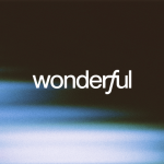Wonderful AI yatırımı