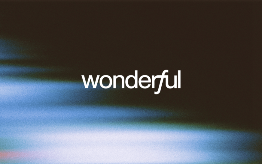 Wonderful AI yatırımı