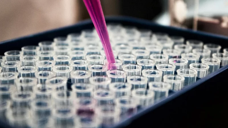 İngiltere’den 100 Milyon Sterlinlik Yapay Zekâ Biyogüvenlik Laboratuvarı